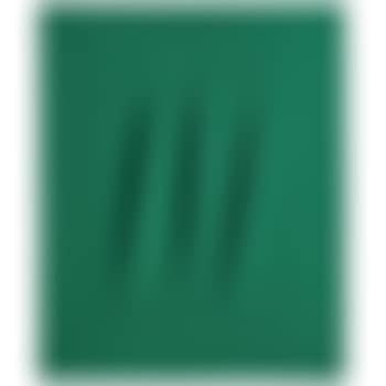 Concetto Spaziale, Attese (preview)