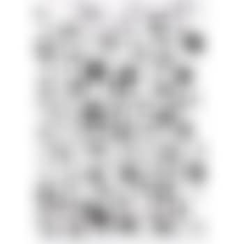 Untitled (D51) (preview)