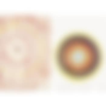 Untitled (Two Spin Drawings) (preview)