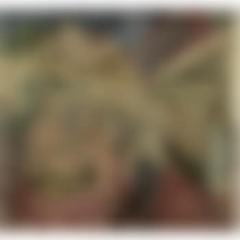 Flower And Fruit Stalls, Stormy Day, Embankment (preview)