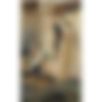 Reisigsammlerin (The Wood Gatherer) (preview)