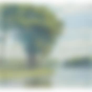 Bäume Am Kanal (Trees By A Canal) (preview)