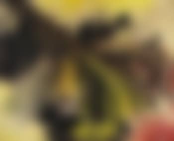 Egypt wind (preview)