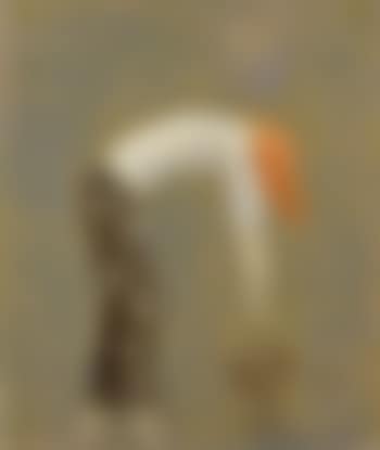 Waschfrau (preview)