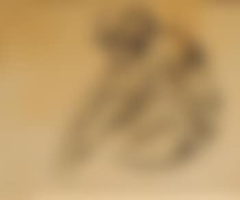 Nu assis (preview)