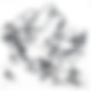 Tree at Tretire I (preview)