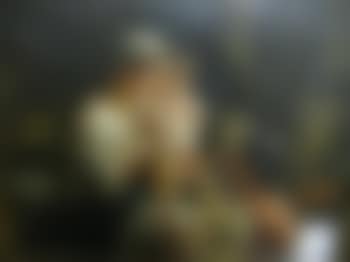 Mother with children (preview)