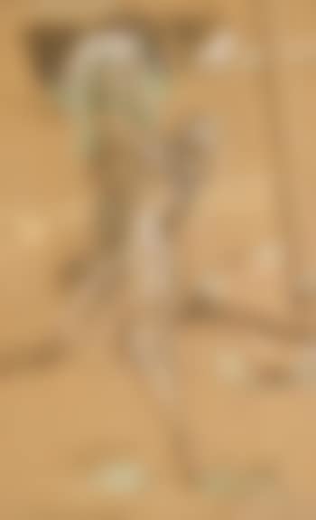 Drawing for Wannamaker's (preview)