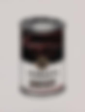 Andy Warhol, Campbell's Soup Can (preview)