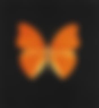Orange Butterfly (preview)