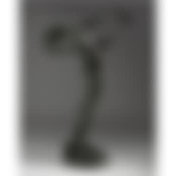 The Vine (preview)