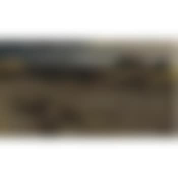 The Toilers Of The Plains (preview)