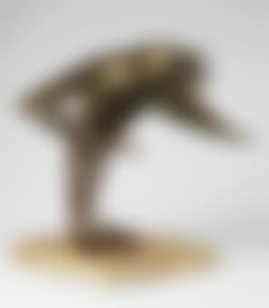 Bird (preview)