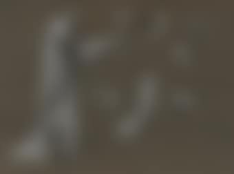 Study of a robed figure with subsidiary studies of hands and arms (preview)