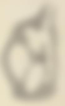Nude in Gray (preview)