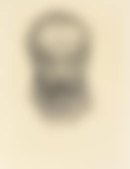 Portrait Dr Heinrich Braun (preview)