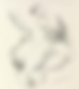 Reclining Female Nude (preview)