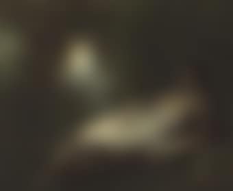Diana (preview)