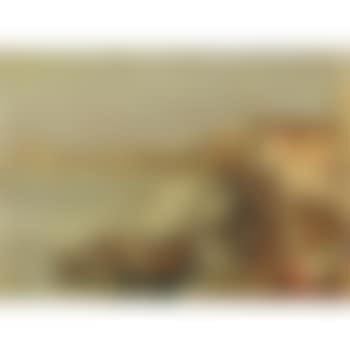 La Giudecca (preview)