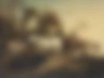 Cattle by a river (preview)