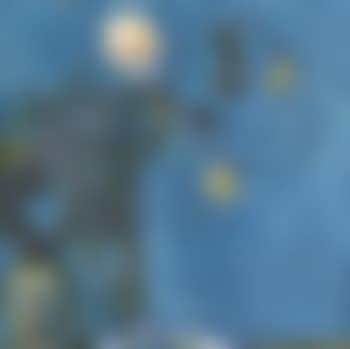 Rosenstilleben (preview)