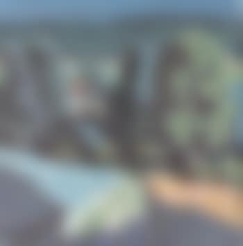 Sommerliche Landschaft bei Munchwiler (preview)