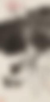 Peinture (preview)
