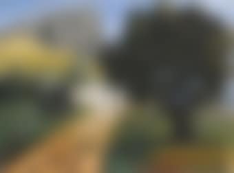 Paesaggio (preview)