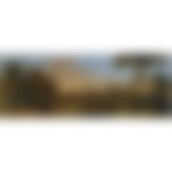 Landscape With Callisto Transformed Into A Bear (preview)