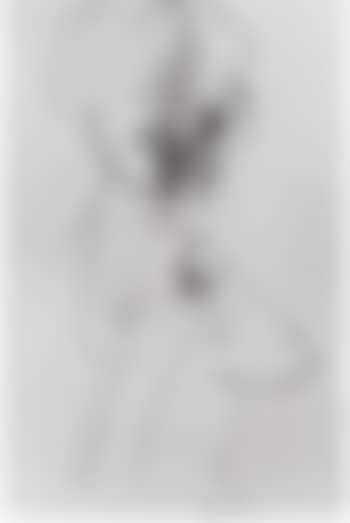Figura (preview)