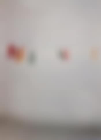 Mollette (preview)