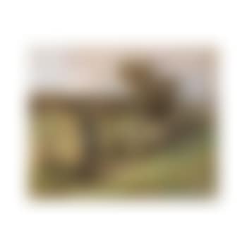 Jeune Trayeuse (preview)