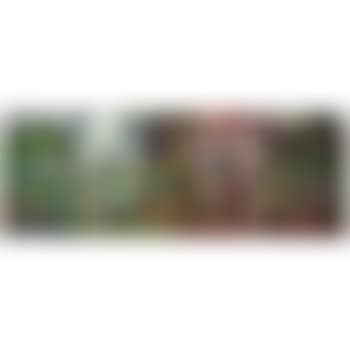 Cap Tourmente (preview)