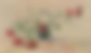 Fleurs (preview)