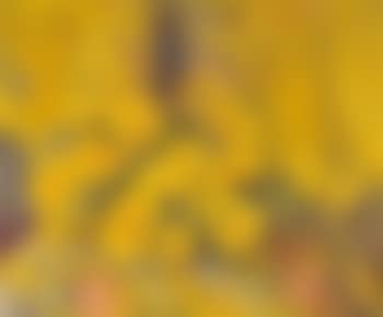 Bouquet de fleurs jaunes (preview)