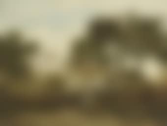 Two children in a landscape (preview)
