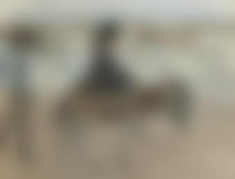 A donkey ride on the beach (preview)