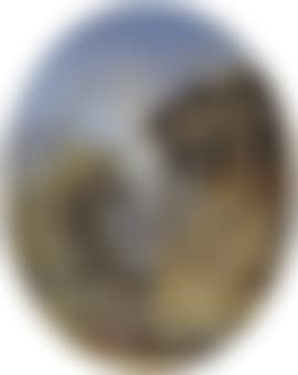 Rotonde animée (preview)