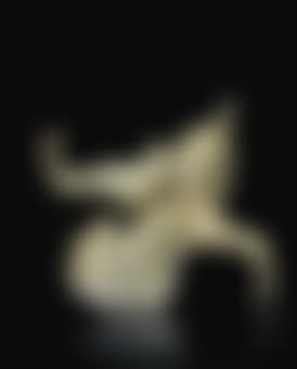 Untitled (Wax Cat) (preview)