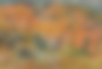 Hillside (preview)