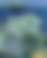 Paysage de beaulieu (preview)