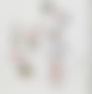 Norsicov: Detail des personnages feminins (preview)