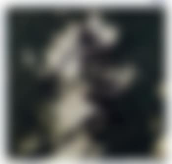 Presage (preview)