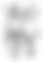 Sans titre (preview)