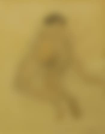 Jeune femme nue de dos (preview)