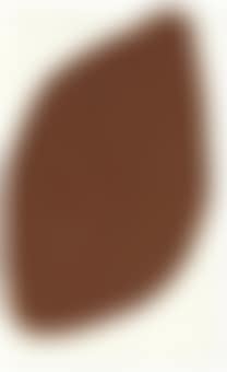 Untitled (Braun Kreuz Lemon) (preview)