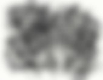 The Vestigial Presence of Mind and Color (preview)