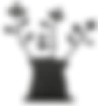 Untitled (Plant) (preview)