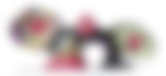 Bird (preview)