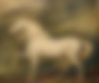 Adonis, the favourite charger of King George III (preview)
